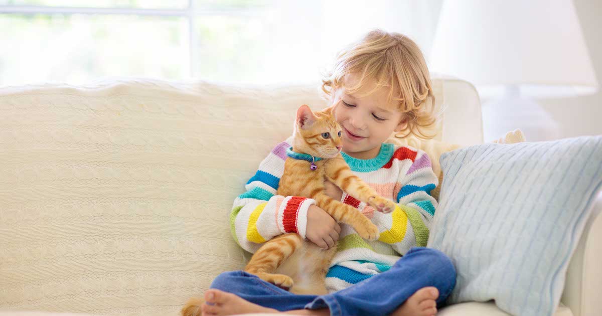 Child playing with cat sitting on a couch