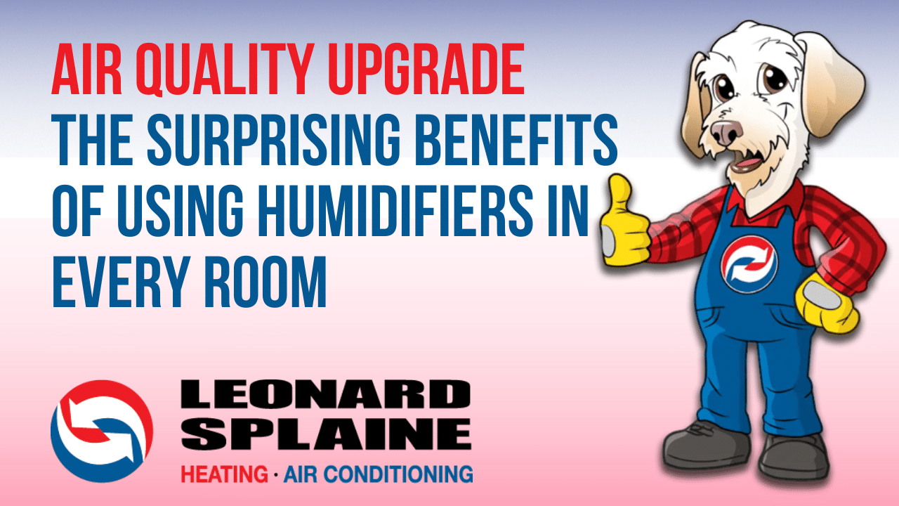 Air Quality Upgrade: The Surprising Benefits of Using Humidifiers in Every Room